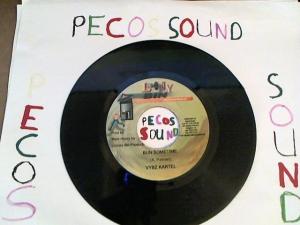 Hud-2 vinyl photos 3115