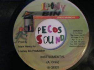 Hud-2 vinyl photos 3116