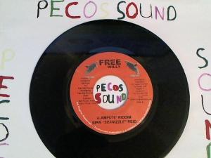 Hud-2 vinyl photos 3122