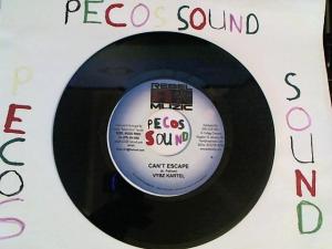 Hud-2 vinyl photos 3131