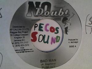 Hud-2 vinyl photos 3138