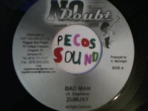 Hud-2 vinyl photos 3139