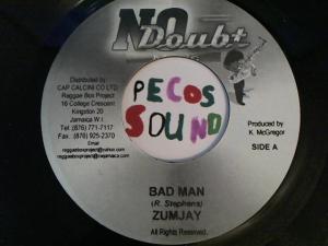 Hud-2 vinyl photos 3140