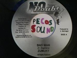 Hud-2 vinyl photos 3141