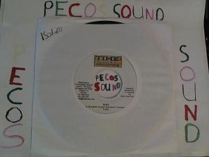 Hud-2 vinyl photos 3145