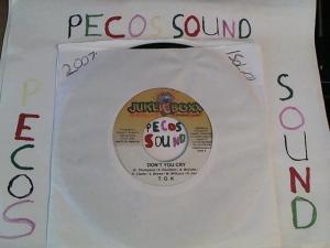 Hud-2 vinyl photos 3153