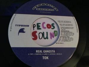 Hud-2 vinyl photos 3159