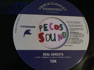 Hud-2 vinyl photos 3160