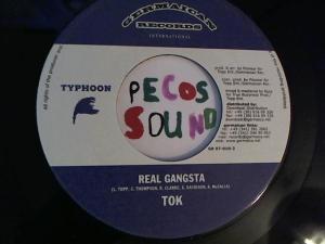 Hud-2 vinyl photos 3163