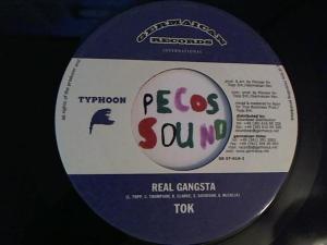 Hud-2 vinyl photos 3164