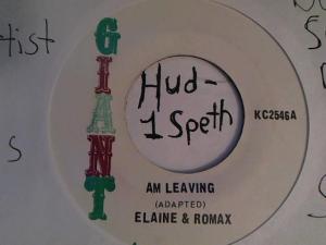 Hud-2 vinyl photos 3200