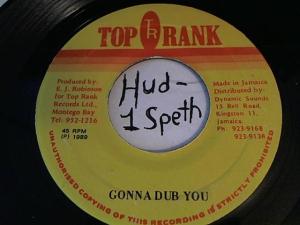 Hud-2 vinyl photos 324