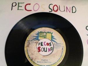 Hud-2 vinyl photos 3243