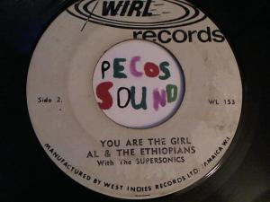 Hud-2 vinyl photos 3273