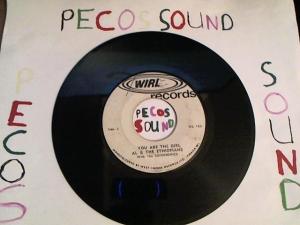 Hud-2 vinyl photos 3274