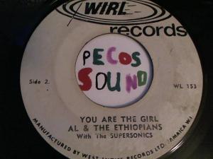 Hud-2 vinyl photos 3276