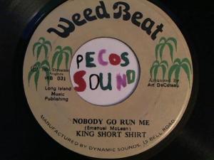 Hud-2 vinyl photos 3287