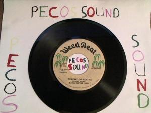 Hud-2 vinyl photos 3288