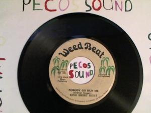 Hud-2 vinyl photos 3289