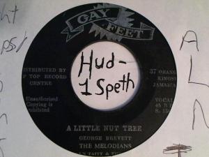 Hud-2 vinyl photos 3383