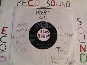 Hud-2 vinyl photos 3384