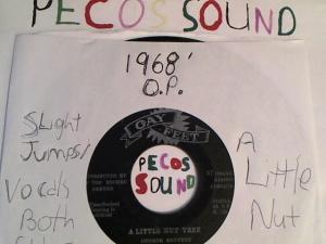 Hud-2 vinyl photos 3385