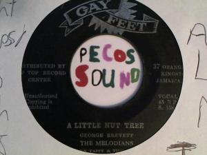 Hud-2 vinyl photos 3386