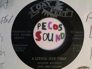 Hud-2 vinyl photos 3387