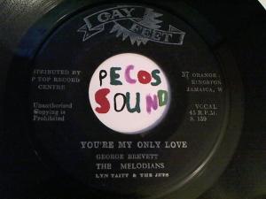 Hud-2 vinyl photos 3388