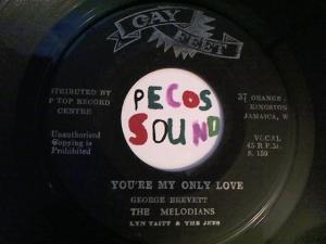 Hud-2 vinyl photos 3390