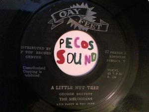 Hud-2 vinyl photos 3391