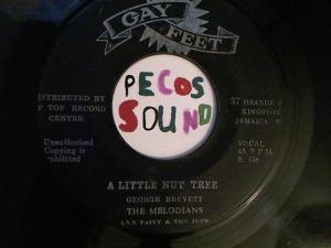 Hud-2 vinyl photos 3393