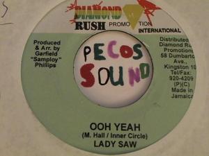 Hud-2 vinyl photos 3798