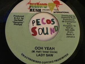 Hud-2 vinyl photos 3800