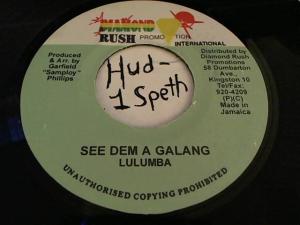 Hud-2 vinyl photos 3803