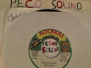 Hud-2 vinyl photos 3813