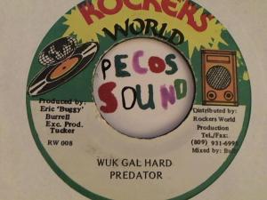 Hud-2 vinyl photos 3814