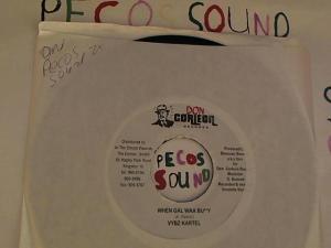 Hud-2 vinyl photos 3827