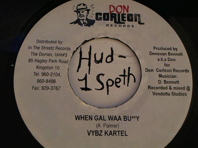 Hud-2 vinyl photos 3832