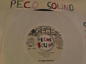 Hud-2 vinyl photos 3836