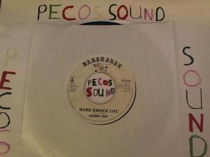 Hud-2 vinyl photos 4019