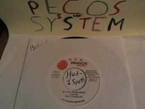 Hud-2 vinyl photos 409