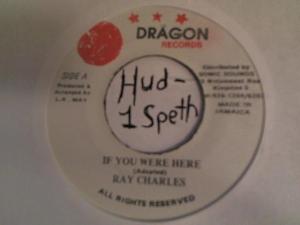 Hud-2 vinyl photos 411