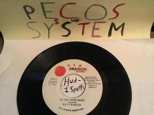 Hud-2 vinyl photos 414