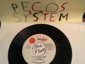 Hud-2 vinyl photos 415