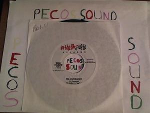 Hud-2 vinyl photos 4176