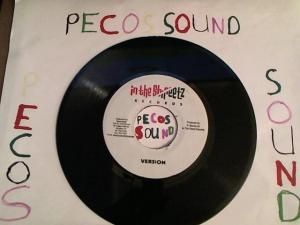 Hud-2 vinyl photos 4182