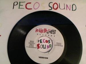 Hud-2 vinyl photos 4183