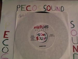 Hud-2 vinyl photos 4186