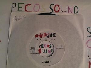 Hud-2 vinyl photos 4187